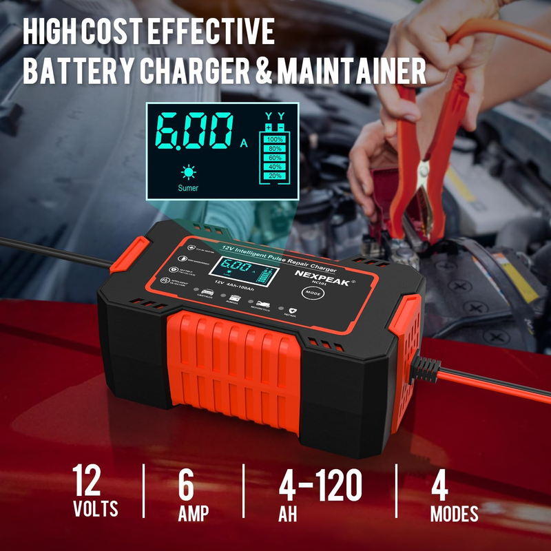 Cargador de Baterías Portátil 12V